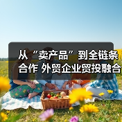 从“卖产品”到全链条合作 外贸企业贸投融合加速中国品牌出海（图2）