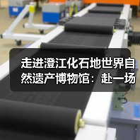 走进澄江化石地世界自然遗产博物馆：赴一场寒武纪的生命之约