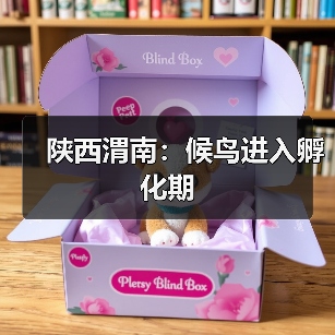 陕西渭南：候鸟进入孵化期（图3）