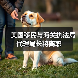 美国移民与海关执法局代理局长将离职（图2）