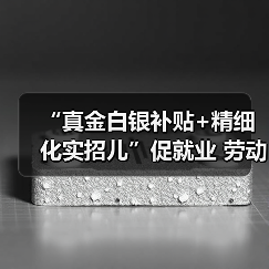 “真金白银补贴+精细化实招儿”促就业 劳动者享受政策红利收获更好发展（图3）
