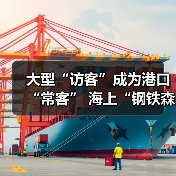 大型“访客”成为港口“常客” 海上“钢铁森林”每一分钟都在连接中国与世界（图3）