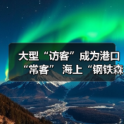 大型“访客”成为港口“常客” 海上“钢铁森林”每一分钟都在连接中国与世界（图4）