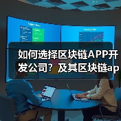 区块链APP开发公司选择与费用全解析