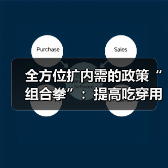 全方位扩内需的政策“组合拳”:提高吃穿用消费品质(图3) 全方位扩内需的政策“组合拳”:提高吃穿用消费品质(图3)