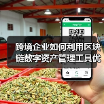 跨境企业如何利用区块链数字资产管理工具优化数字资产管理？（图4）