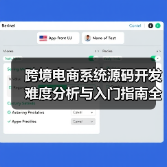 跨境电商系统源码开发难度解析与解决方案