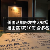 芝加哥家庭聚会枪击案 致1死10伤