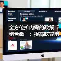 全面扩内需：提升消费品质的政策组合拳