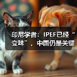 印尼学者：IPEF已经“变味”，中国仍是关键合作伙伴