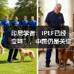印尼学者：IPEF已经“变味”，中国仍是关键合作伙伴