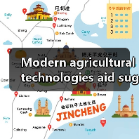 Modern agricultural technologies aid sugarcane planting in South China（图3）