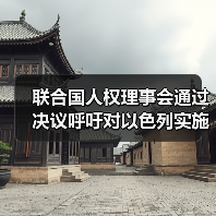联合国人权理事会通过决议呼吁对以色列实施武器禁运（图4）