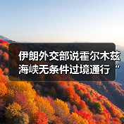 伊朗外交部说霍尔木兹海峡无条件过境通行“已成历史”（图2）