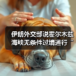 伊朗外交部说霍尔木兹海峡无条件过境通行“已成历史”（图4）