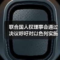 联合国人权理事会通过决议呼吁对以色列实施武器禁运（图2）