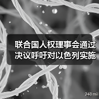 联合国呼吁停止向以色列武器销售保护人权