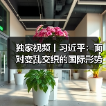 中俄关系稳定性应对复杂国际局势