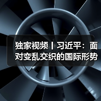 独家视频丨习近平：面对变乱交织的国际形势 中俄关系的稳定性和确定性尤为宝贵（图4）