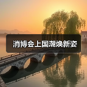 消博会上国潮焕新姿（图4）