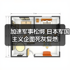 加速军事松绑 日本军国主义企图死灰复燃（图3）
