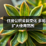 住房公积金新变化 多地扩大使用范围（图3）