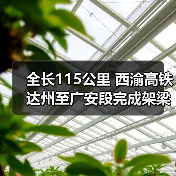 全长115公里 西渝高铁达州至广安段完成架梁（图2）