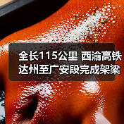 全长115公里 西渝高铁达州至广安段完成架梁（图3）