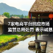 7家电商平台回应市场监管总局处罚 表示诚恳接受（图2）