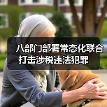 多部门联合打击涉税违法常态化行动