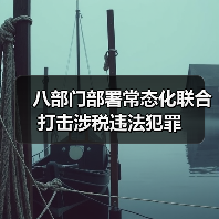 八部门部署常态化联合打击涉税违法犯罪（图3）