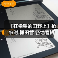 春耕管理有序开展 各地积极推进农业生产
