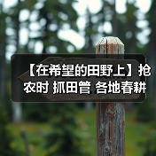 【在希望的田野上】抢农时 抓田管 各地春耕有序推进（图3）