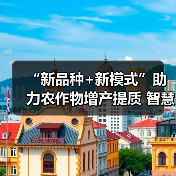 “新品种+新模式”助力农作物增产提质 智慧农业让农产品“种得好”“卖得火”（图2）