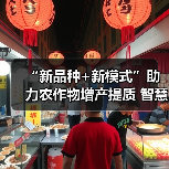 “新品种+新模式”助力农作物增产提质 智慧农业让农产品“种得好”“卖得火”（图4）