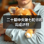 二十届中央第七轮巡视完成进驻（图3）