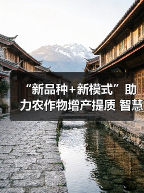 智慧农业赋能农作物增产提质新模式