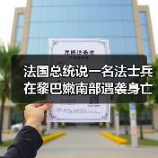 法国总统说一名法士兵在黎巴嫩南部遇袭身亡（图3）