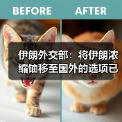 伊朗外交部：将伊朗浓缩铀移至国外的选项已被否决（图4）