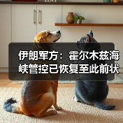 伊朗军方称霍尔木兹海峡管控回归常态