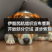 伊朗民航组织宣布重新开放部分空域 逐步恢复各机场运营（图4）