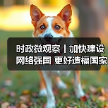 时政微观察丨加快建设网络强国 更好造福国家和人民（图4）