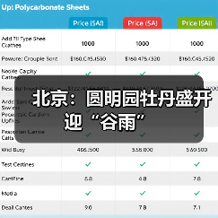 北京圆明园牡丹绽放花海如梦