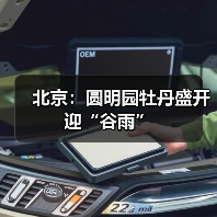 北京：圆明园牡丹盛开迎“谷雨”（图4）