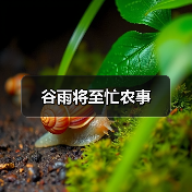 谷雨将至忙农事（图3）
