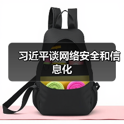 国家网络安全战略与信息化发展路径