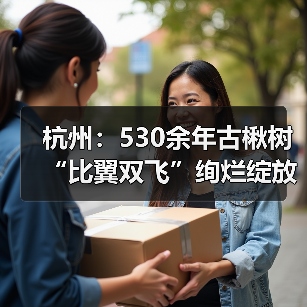 杭州：530余年古楸树“比翼双飞”绚烂绽放（图4）