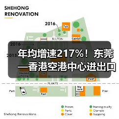 东莞港进出口货值突破650亿年均增速达217%