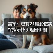 美军：已有21艘船按美军指示掉头返回伊朗（图3）