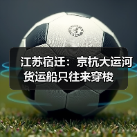 江苏宿迁：京杭大运河货运船只往来穿梭（图4）
